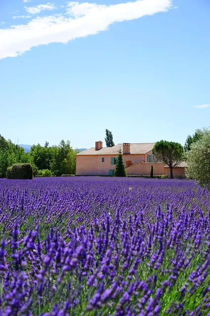 Load image into Gallery viewer, Lavender + Neroli Face Serum