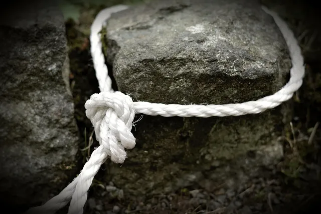 Learn to Knit | Beginners Class