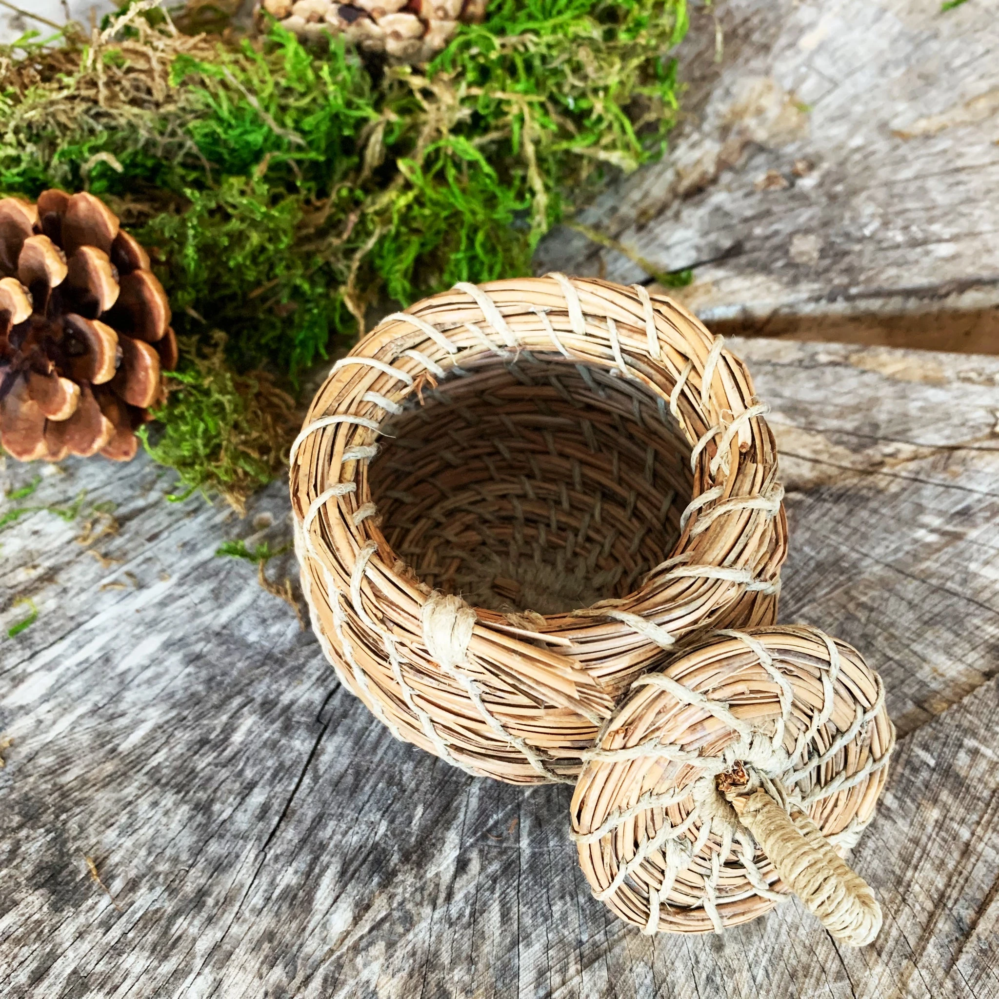 Ontario Coniferous Basket | 3 inch Basket with Lid