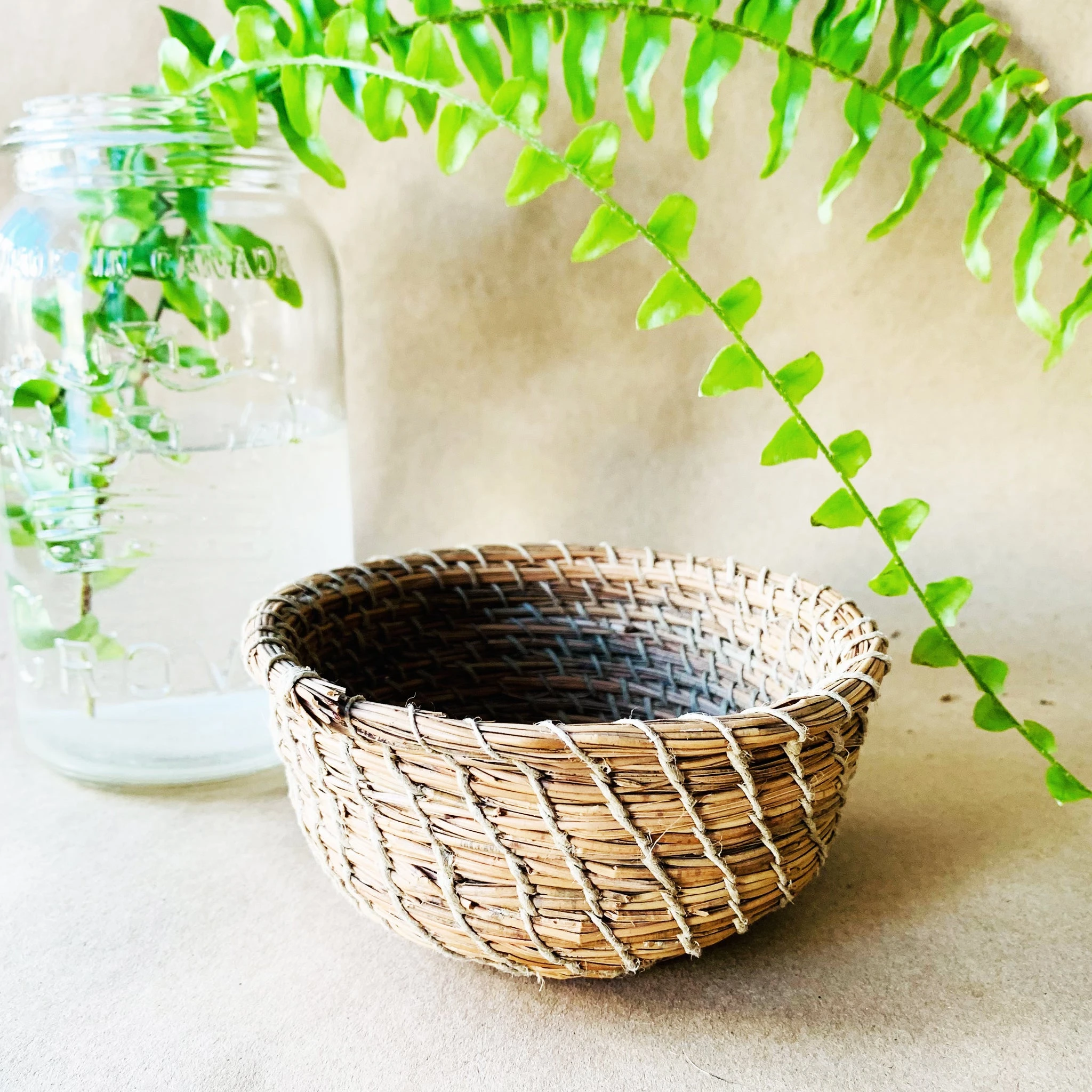 Ontario Coniferous Bowl | 5 inch