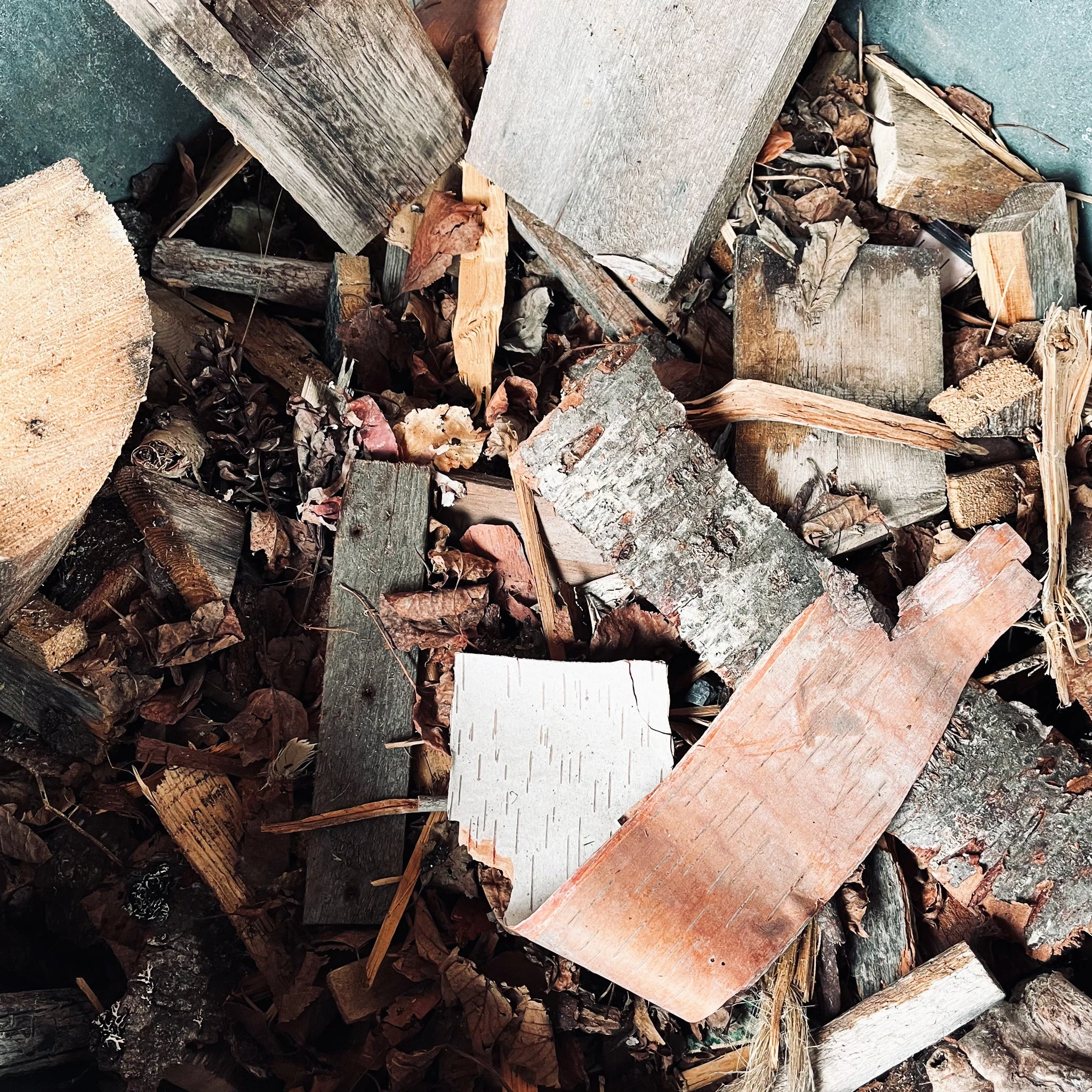 Primitive Wood Scrap House | Trinity