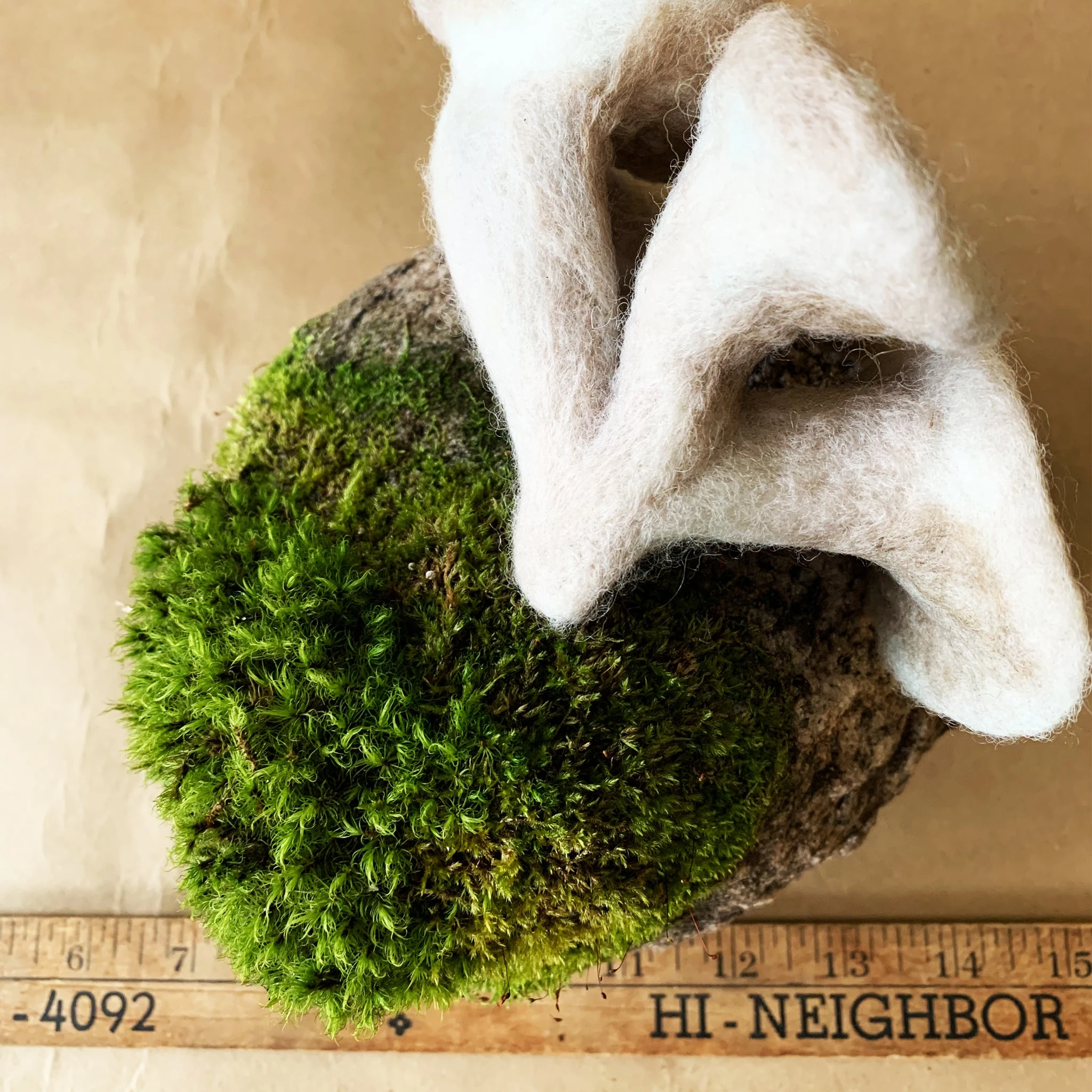 Felted Mushrooms | Oyster Cluster