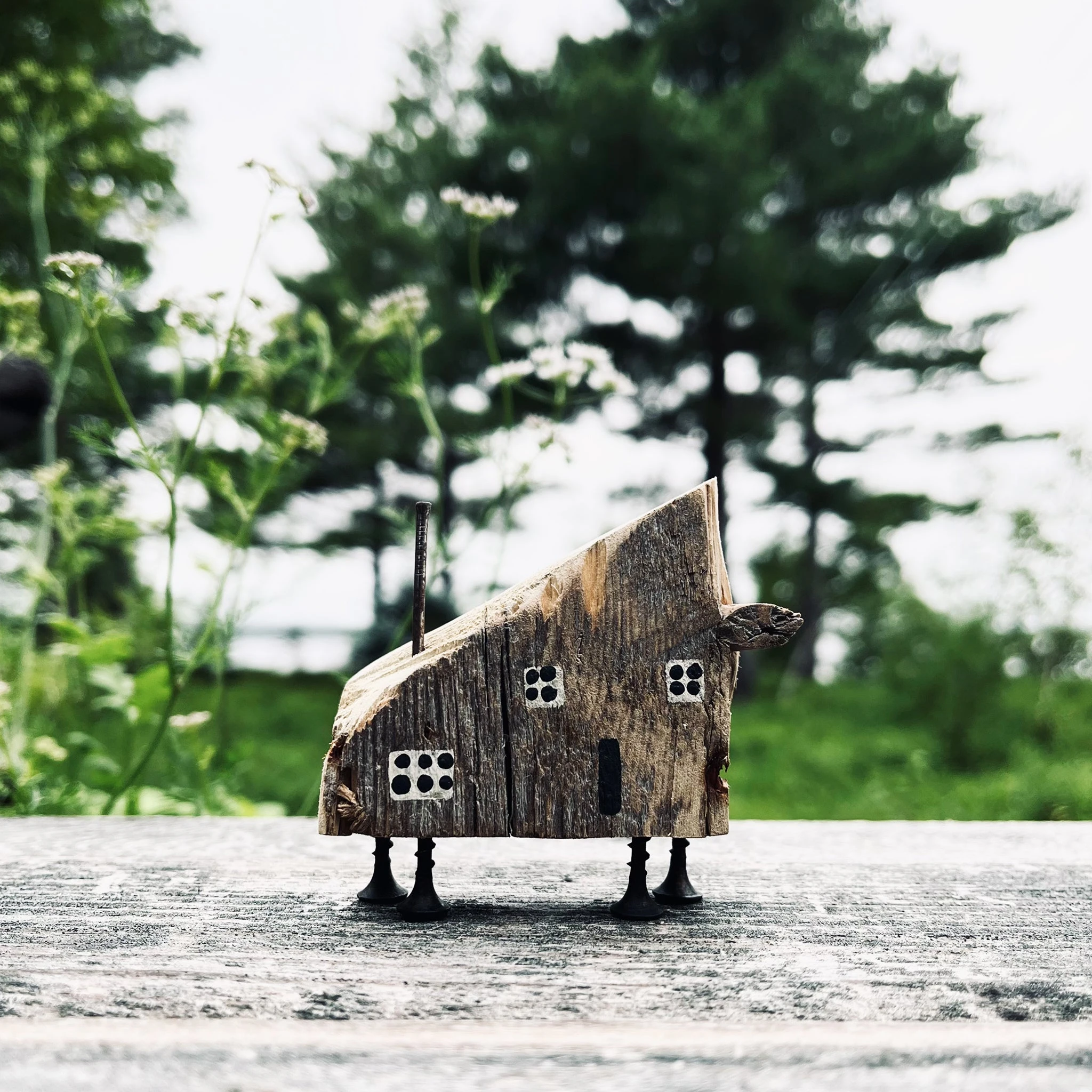Primitive Wood Scrap House | Upper Island Cove