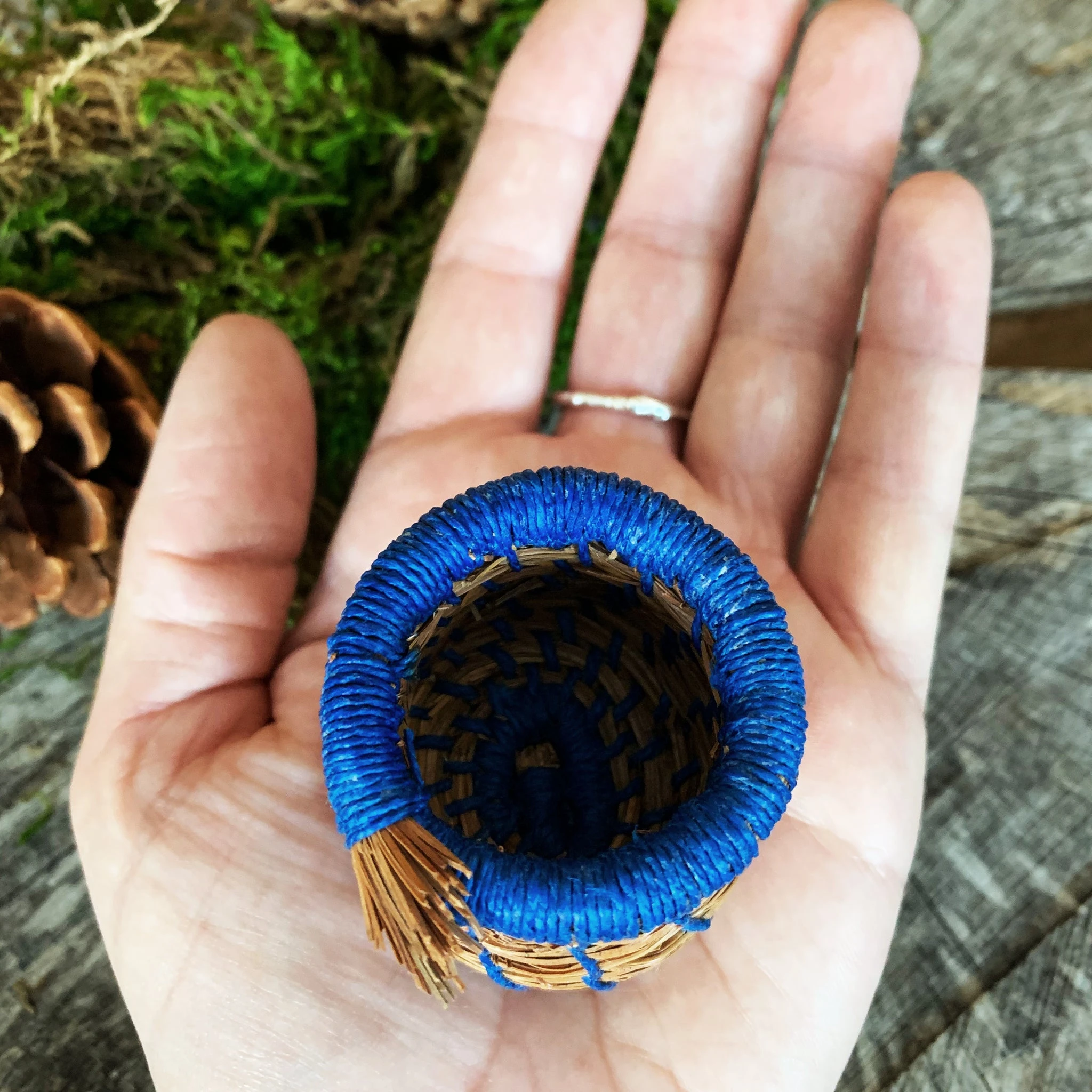 Ontario Coniferous Basket | 1.5 inch