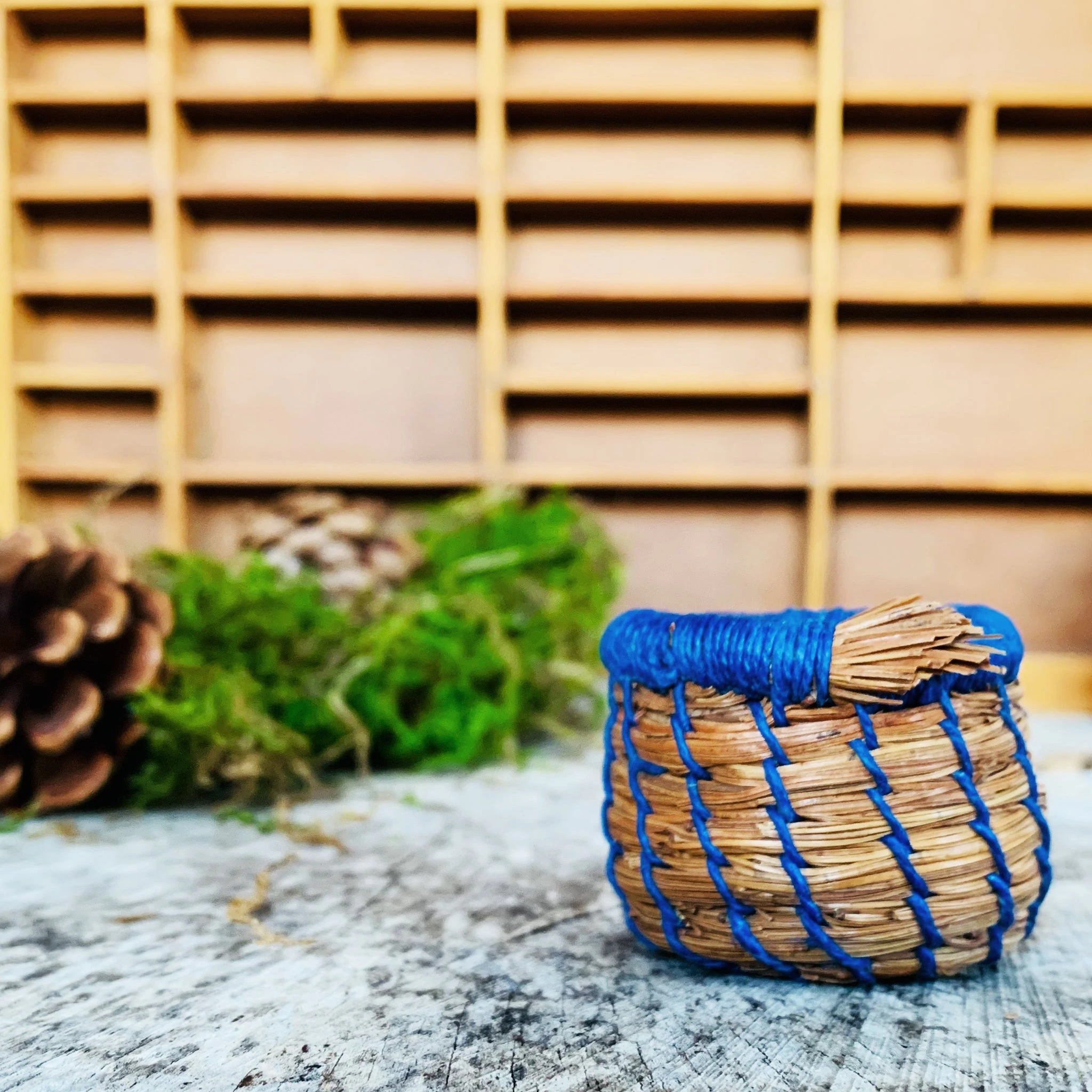 Ontario Coniferous Basket | 1.5 inch